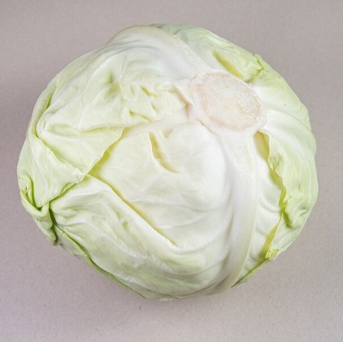 Ilustrasi Ibu Menyusui dan Pantangannya