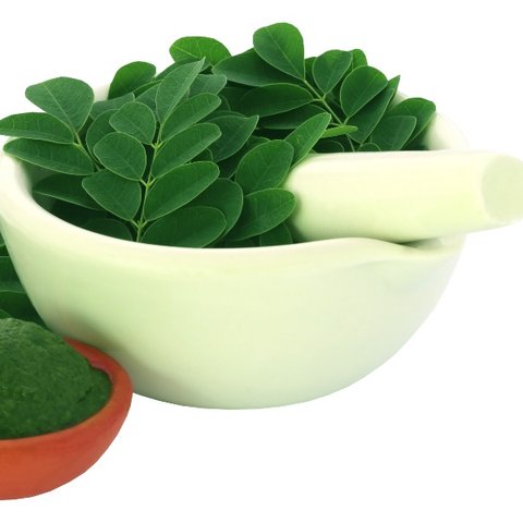 3 Metode Praktis Merebus Daun Kelor untuk Menurunkan Kolesterol dan Asam Urat dengan Mudah!