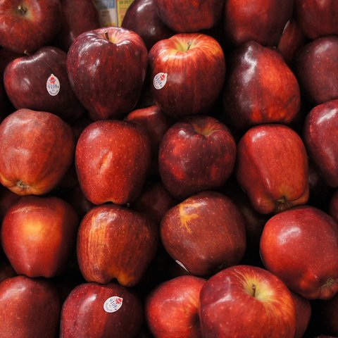 Ilustrasi apel (Dok. Image by igetpic from Pixabay)