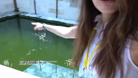 5 Potret Rumah Mewah Luna Maya di Bali, Akan Dirobohkan & Dibangun Ulang - Bakal Ditempati Bareng Maxime?
