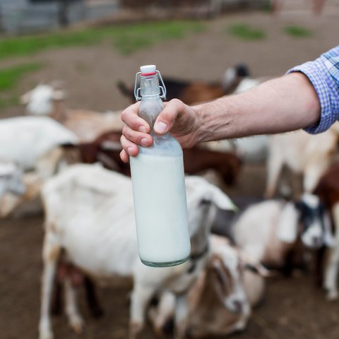 Ilustrasi Susu Kambing (&copy;Freepik)