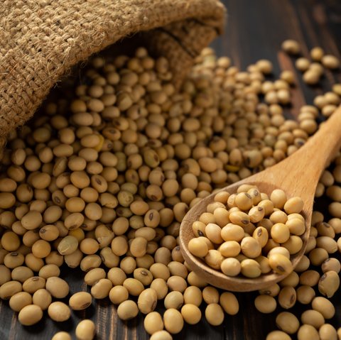 Ilustrasi Kacang Kedelai (&copy;Freepik)