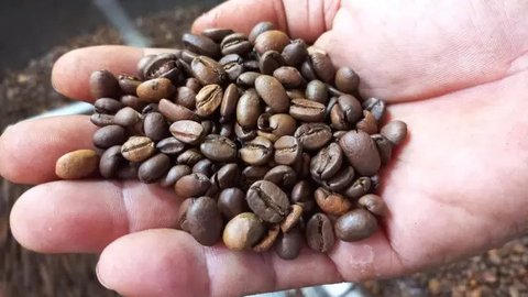 PT Toyota Motor Manufacturing Indonesia (TMMIN) mendampingi ITS untuk mengimplementasikan prinsip-prinsip TPS ke Koperasi Kopi Wonosalam dengan tujuan untuk meningkatkan kualitas dan efisiens