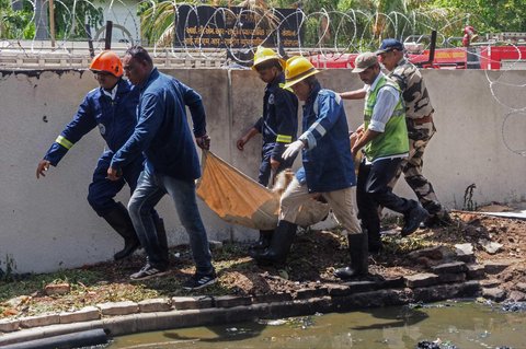 Petugas penyelamat bekerja di lokasi jatuhnya pesawat Air India penerbangan 171 di kawasan permukiman dekat bandara di Ahmedabad, Gujarat, India, Kamis (12/6/2025). Pesawat penumpang tujuan London yang membawa 242 orang itu jatuh tak lama setelah lepas landas dari Bandara Ahmedabad.