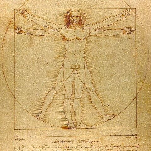 Inspirational quotes by Leonardo da Vinci.