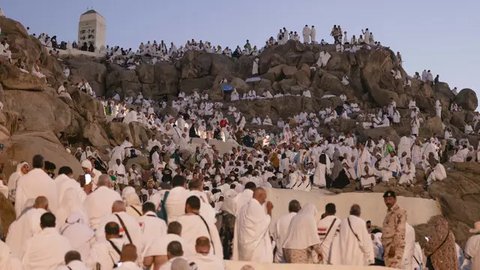 Di Padang Arafah, jemaah haji akan berdiam diri untuk introspeksi diri, memanjatkan doa, dan memohon ampunan kepada sang pencipta. (HAZEM BADER/AFP)