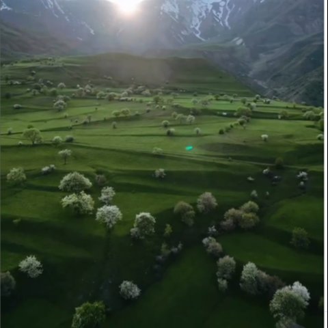 Wisata Iran