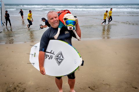 James Will menggendong anjingnya Faith, seekor anjing pit bull terrier Amerika berusia 13 tahun yang buta saat mengikuti kompetisi selancar di Pantai Huntington, California, Jumat, (20/06/2025).