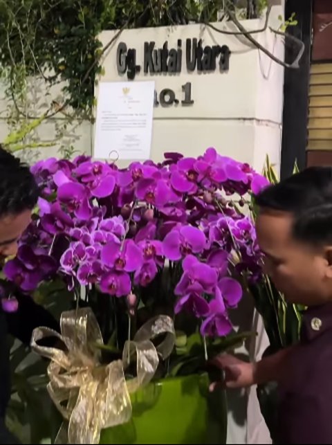 Bunga Anggrep dari Prabowo