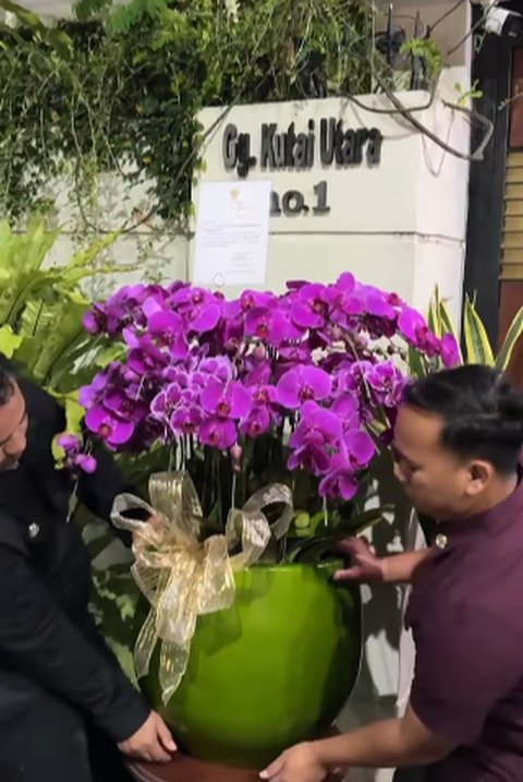 Hadiah Anggrek Ungu dari Prabowo untuk Jokowi