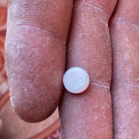 Terungkap! Israel Serang Gaza Pakai Narkoba, Diselipkan Lewat Karung Tepung