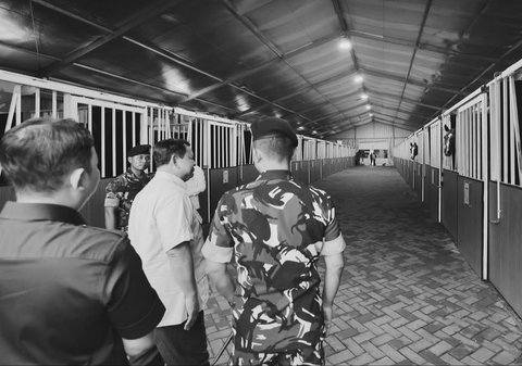 Kejutan Prabowo Masuk Kandang Kuda di Resimen Kavaleri