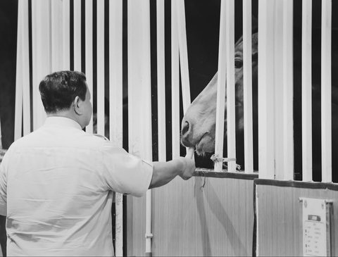 Kejutan Prabowo Masuk Kandang Kuda di Resimen Kavaleri