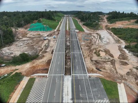 PT Waskita Karya (Persero) Tbk tengah membangun jembatan satwa di sekitar Tol IKN Seksi 3B Segmen KKT Kariangau-Simpang. (Foto:Waskita Karya)