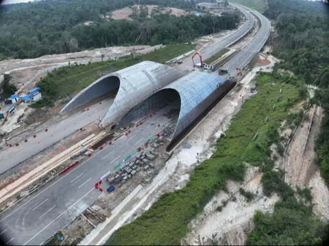 PT Waskita Karya (Persero) Tbk tengah membangun jembatan satwa di sekitar Tol IKN Seksi 3B Segmen KKT Kariangau-Simpang. (Foto:Waskita Karya)