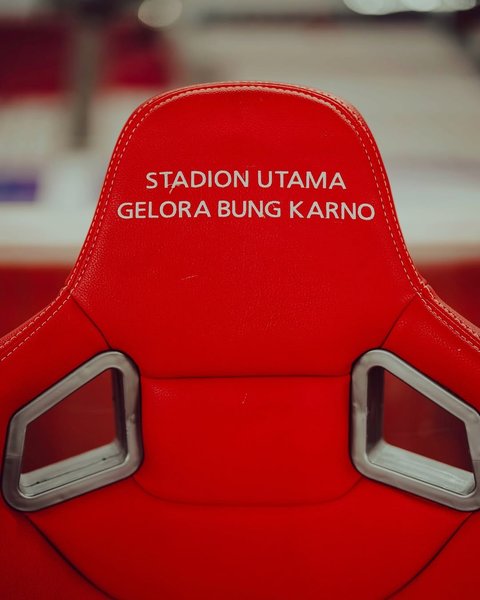 Supporter Timnas Indonesia