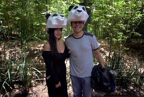 Antusias warga merayakan ulang tahun panda Xin Xin di  kebun binatang Chapultepec di Mexico City, (29/06/2025).