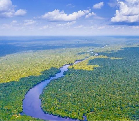 Sungai Amazon