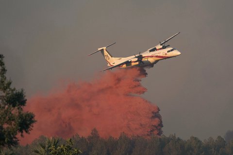 Pesawat pemadam kebakaran DASH menjatuhkan cairan anti api ke pepohonan saat terjadi kebakaran hutan di dekat Bizanet, Prancis barat daya, (29/06/2025).