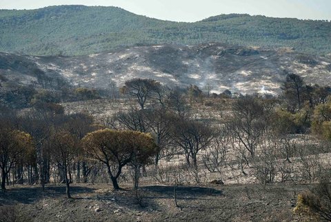 Hutan yang terbakar di dekat Bizanet, Prancis selatan, (30/06/2025).