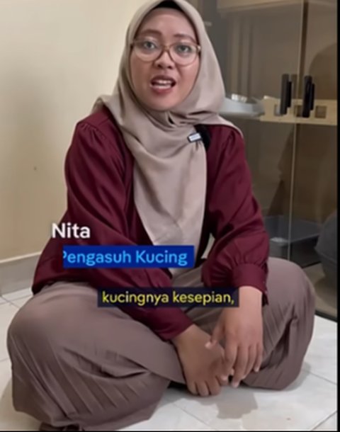 Profesi Catsitter