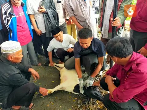 Ulama kharismatik sekaligus Pengasuh LPD Al Bahjah, Buya Yahya. (YouTube Al Bahjah TV)
