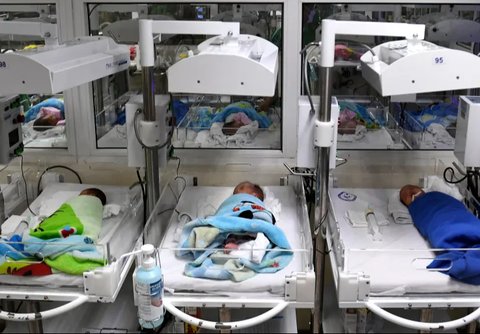 bayi di vietnam