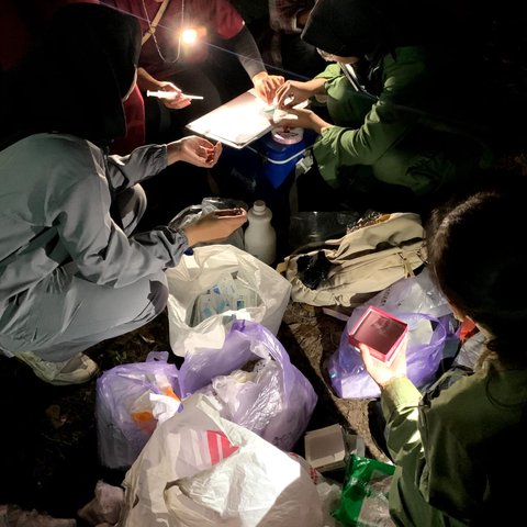 ilustrasi suasana pemeriksaan kesehatan oleh mahasiswa kedokteran hewan UGM