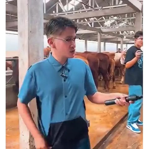 Artis Kurban Sapi di Idul Adha 2025. (sumber: Instagram/raffinagita1717)