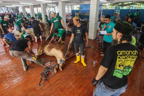 Petugas memotong daging hewan kurban di Masjid Istiqlal, Jakarta, Sabtu (070/6/2025)