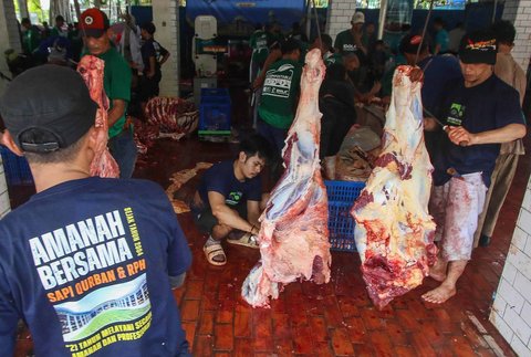 Petugas memotong daging hewan kurban di Masjid Istiqlal, Jakarta, Sabtu (070/6/2025)