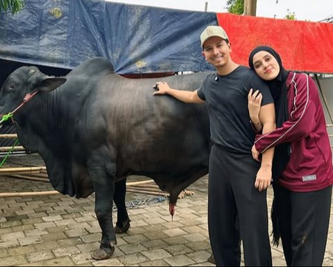 Penampakan Sapi Kurban 1,2 Ton Sonny Septian dari Raffi Ahmad, Bernama Kahfi - Diantar Langsung sama Irfan Hakim