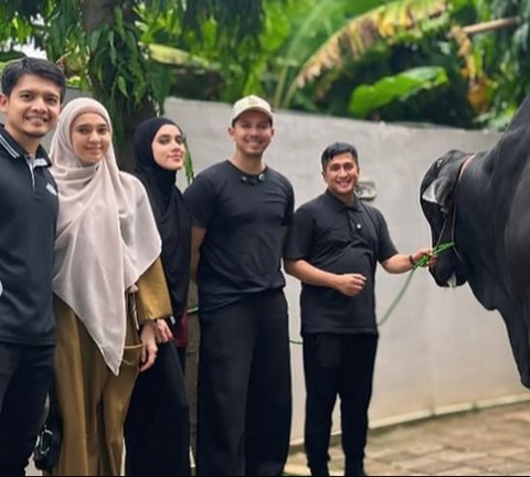 Penampakan Sapi Kurban 1,2 Ton Sonny Septian dari Raffi Ahmad, Bernama Kahfi - Diantar Langsung sama Irfan Hakim