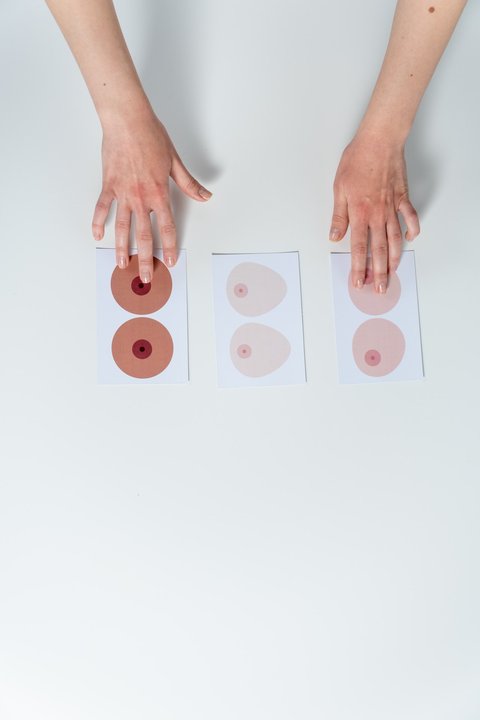 Ilustrasi Puting Payudara