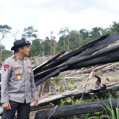 Hutan lindung Batang Ulak