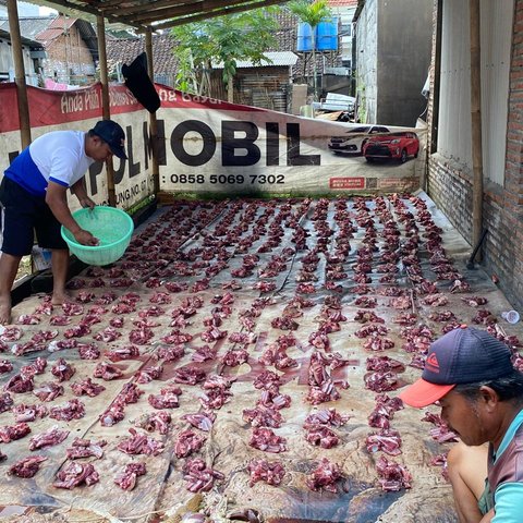 Ilustrasi Pembagian Daging Kurban