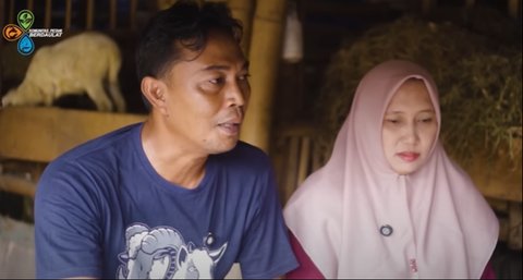 Suami Terjerat Judi Online, Cerita Wanita Ini Sampai Menteskan Air Mata Harta Habis Semua, Kini Sukses Beternak Kambing