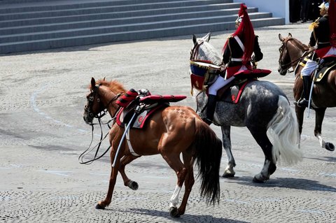Seekor kuda berjalan keluar dari barisan setelah tergelincir saat parade militer Bastille Day di Paris, Prancis, pada Senin (14/7/2025).