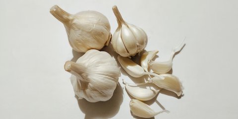 Ilustrasi Bawang Putih