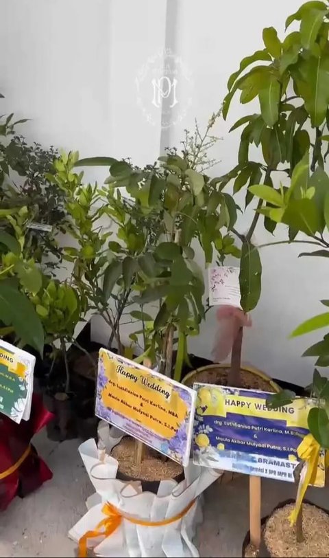 Kado Pernikahan Putri Karlina dan Anak Dedi Mulyadi