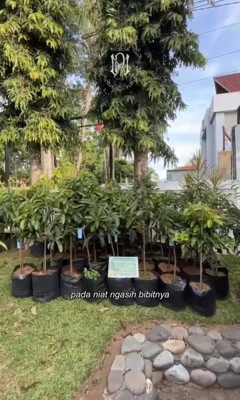 Kado Pernikahan Putri Karlina dan Anak Dedi Mulyadi