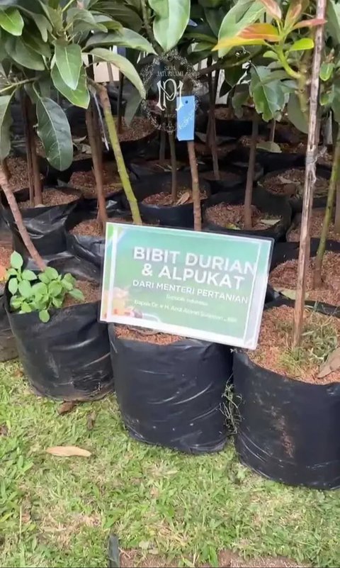 Kado Pernikahan Putri Karlina dan Anak Dedi Mulyadi