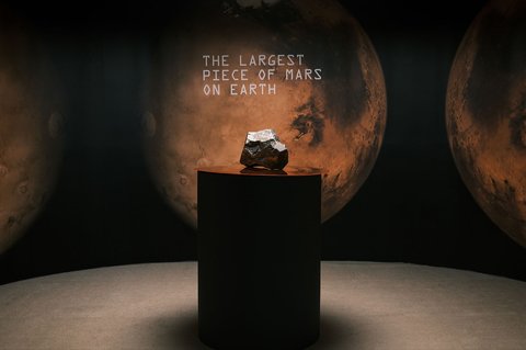 Meteorit Mars seberat 22,5 kg NWA 16788 yang dipamerkan dalam pratinjau lelang Sotheby's di New York, AS, (15/07/2025).