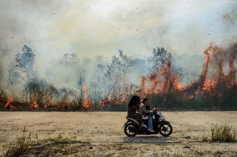 Warga mengendarai motor melewati kebakaran hutan di Karya Indah, Provinsi Riau, Sabtu (19/07/2025).