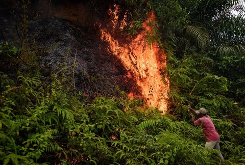 Warga memadamkam api saat kebakaran hutan di Karya Indah, Provinsi Riau, Sabtu (19/07/2025).