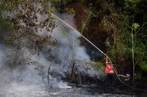 Petugas memadamkam api saat kebakaran hutan di Karya Indah, Provinsi Riau, Sabtu (19/07/2025).