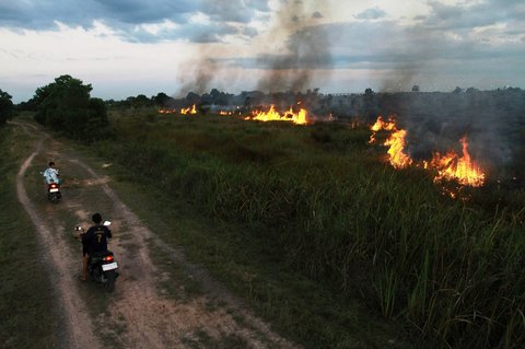 Pengendara bermotor melewati lahan gambut yang terbakar di Ogan Ilir, Sumatera Selatan,  Minggu (20/07/2025).