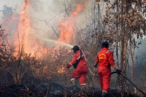 Petugas pemadam kebakaran berupaya memadamkan kebakaran hutan yang membakar lahan gambut di Rimba Panjang, Provinsi Riau, Minggu (20/07/2025).