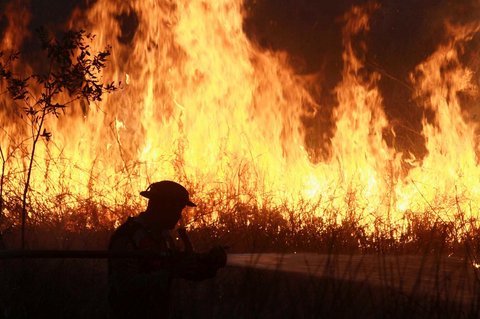 Petugas kepolisian menyemprotkan air untuk memadamkan api yang membakar lahan gambut di Ogan Ilir, Sumatera Selatan,  Minggu (20/07/2025).
