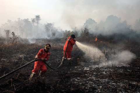 Petugas pemadam kebakaran berupaya memadamkan kebakaran hutan yang membakar lahan gambut di Rimba Panjang, Provinsi Riau, Minggu (20/07/2025).